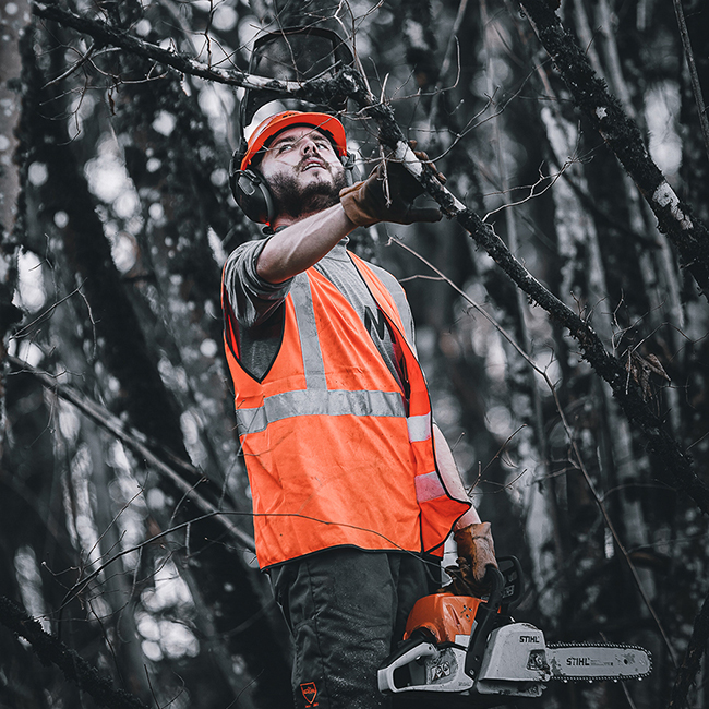 Les bénévoles au travail